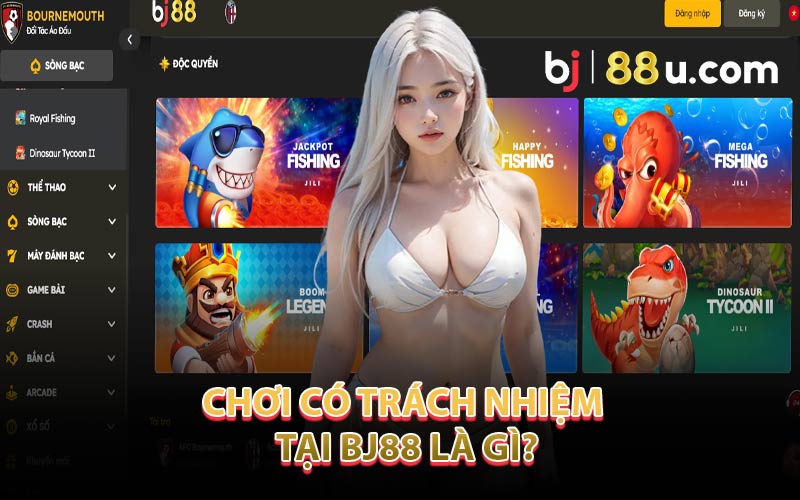 Chơi Có Trách Nhiệm Tại BJ88 Là Gì?